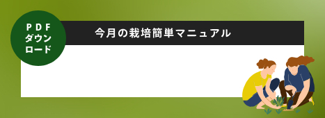 今月の栽培簡単マニュアル PDFダウンロード